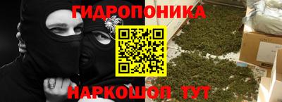 скорость Бийск