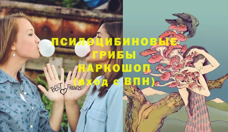 наркошоп  МЕГА онион  Галлюциногенные грибы ЛСД  Алапаевск 