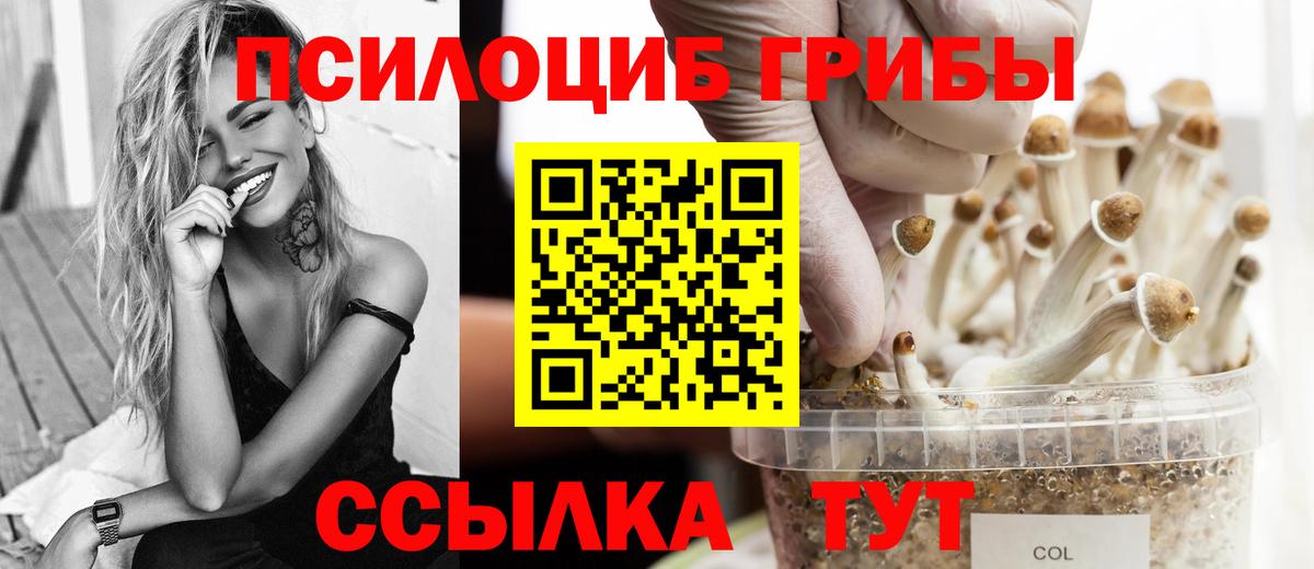 Алапаевск  Галлюциногенные грибы прущие грибы  Вход с VPN 